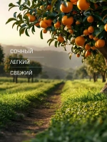 EOLITHIC Спреевый ароматизатор для текстиля FABRIC AROMA SPRAY №5 - Мандарин / Жасмин / Мускус 475мл