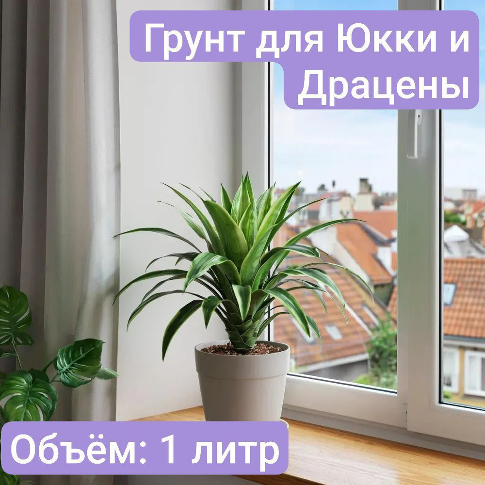 Авторский грунт для Юкки и Драцены 2 литра