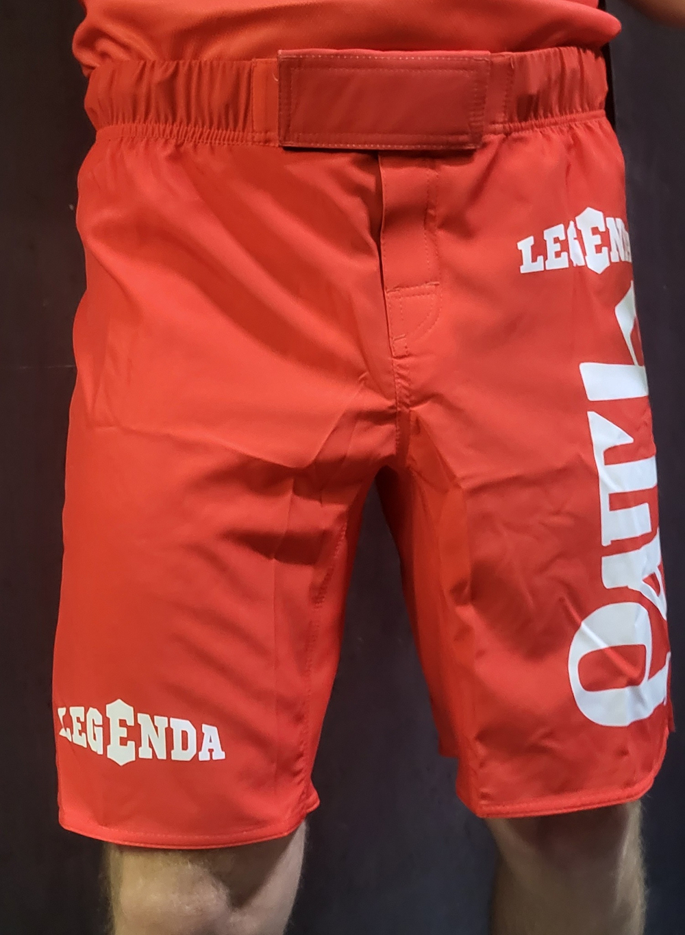 Шорты спортивные ММА Legenda Рать, красные