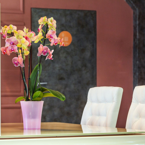 ГОРШОК Д/ЦВЕТОВ АРТЕ-ДЕЯ 2Л ЛОТОС