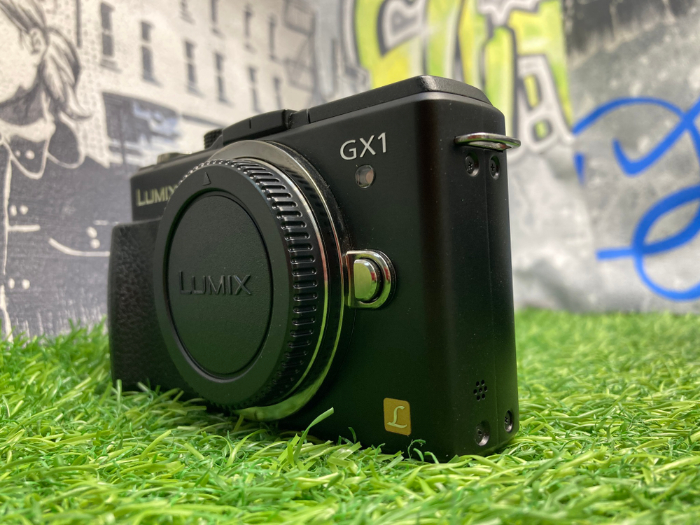 Panasonic Lumix DMC-GX1 400 кадров