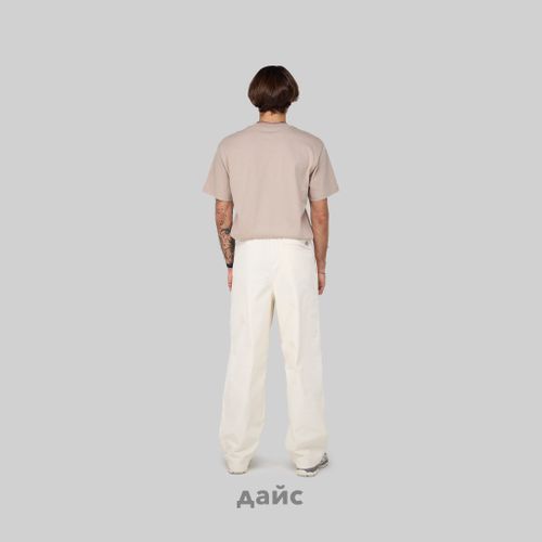 Брюки мужские Dickies Chase City Pant артикул:DK0A4YSAF901 - купить в магазине Дайс