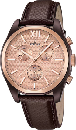 Часы Festina F16863/1