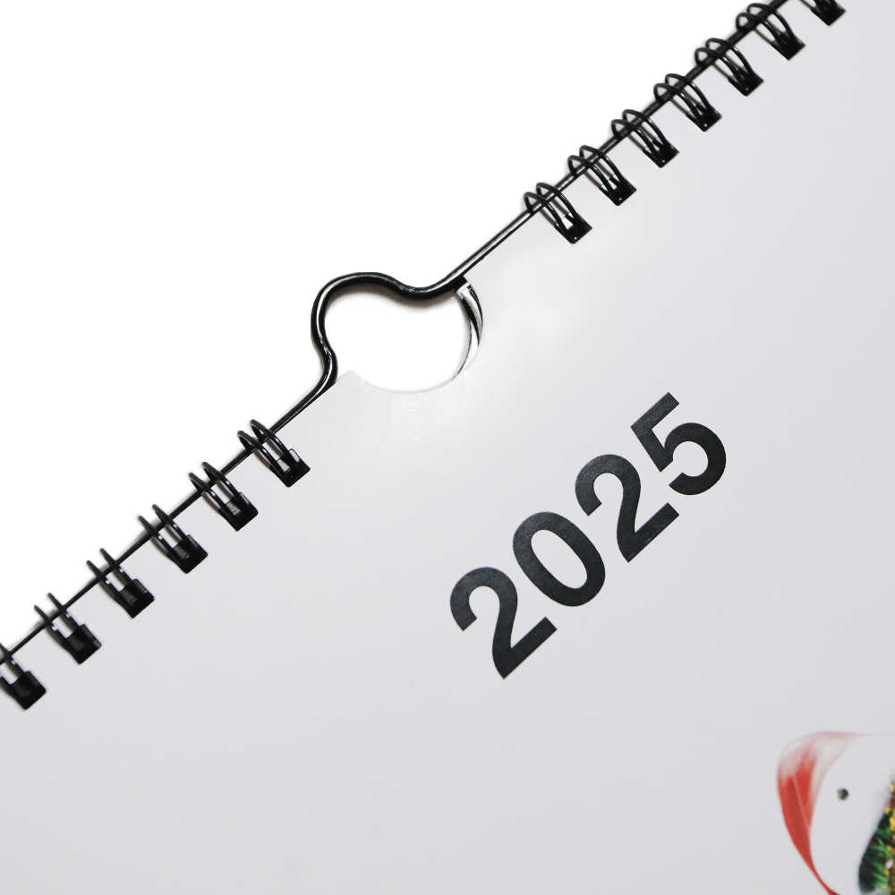 STVOL.TV "2025" CALENDAR