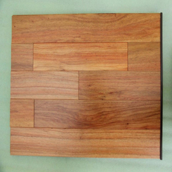 Паркет лингуа