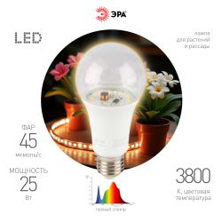 Фитолампа для растений светодиодная ЭРА FITO-25W-Ra90-E27 полного спектра 25 Вт Е27 | Фитолампы Е27