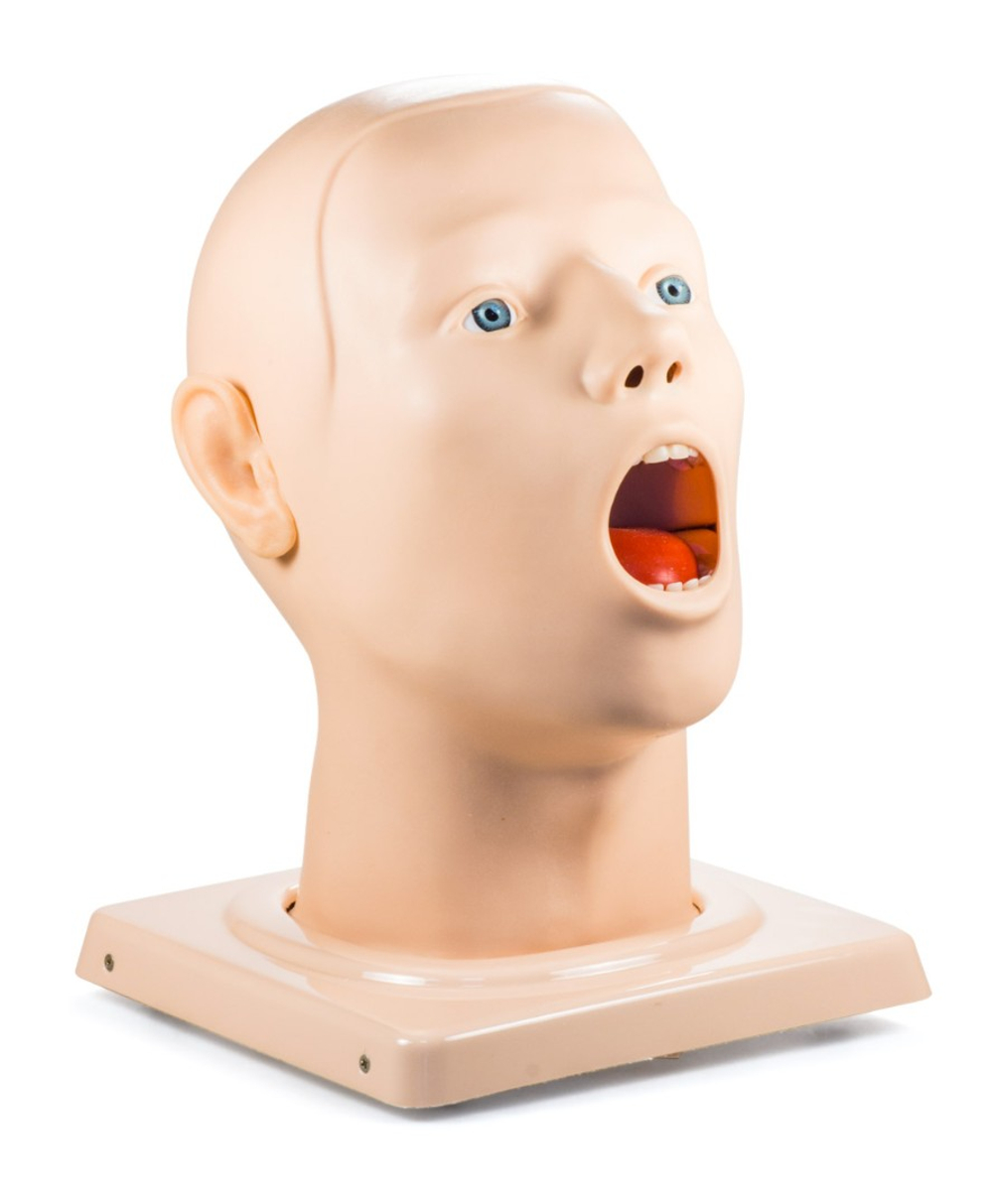 Фантом головы для мазка из зева