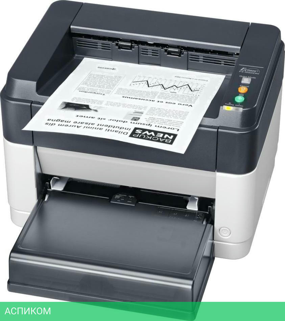 Принтер Kyocera Ecosys FS-1060DN (1102M33RU0)