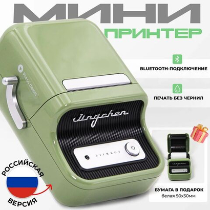 Принтер NIIMBOT B21S green