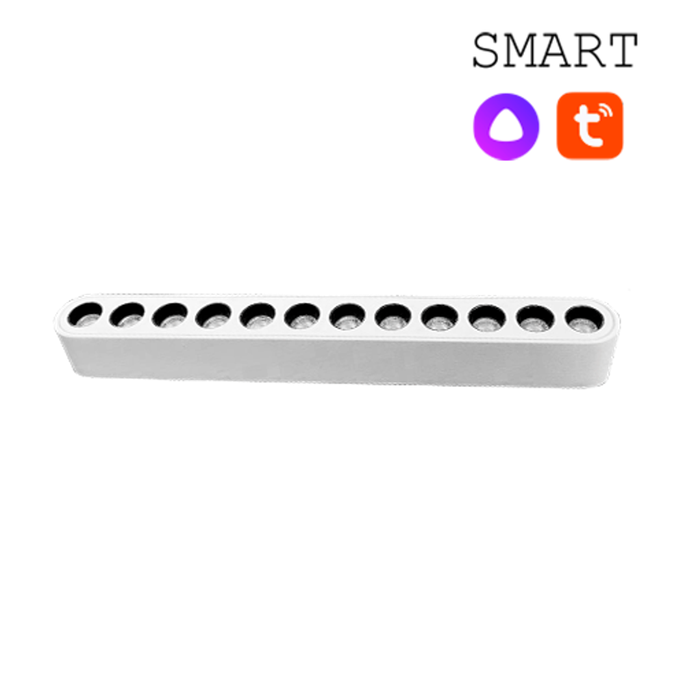 CLARUS SMART Магнитный ультратонкий трековый светильник AKCENT белый, 12W, 2700~6000K, 50 шт