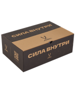 Кроссовки волейбольные SPIRIT, Navy/lime
