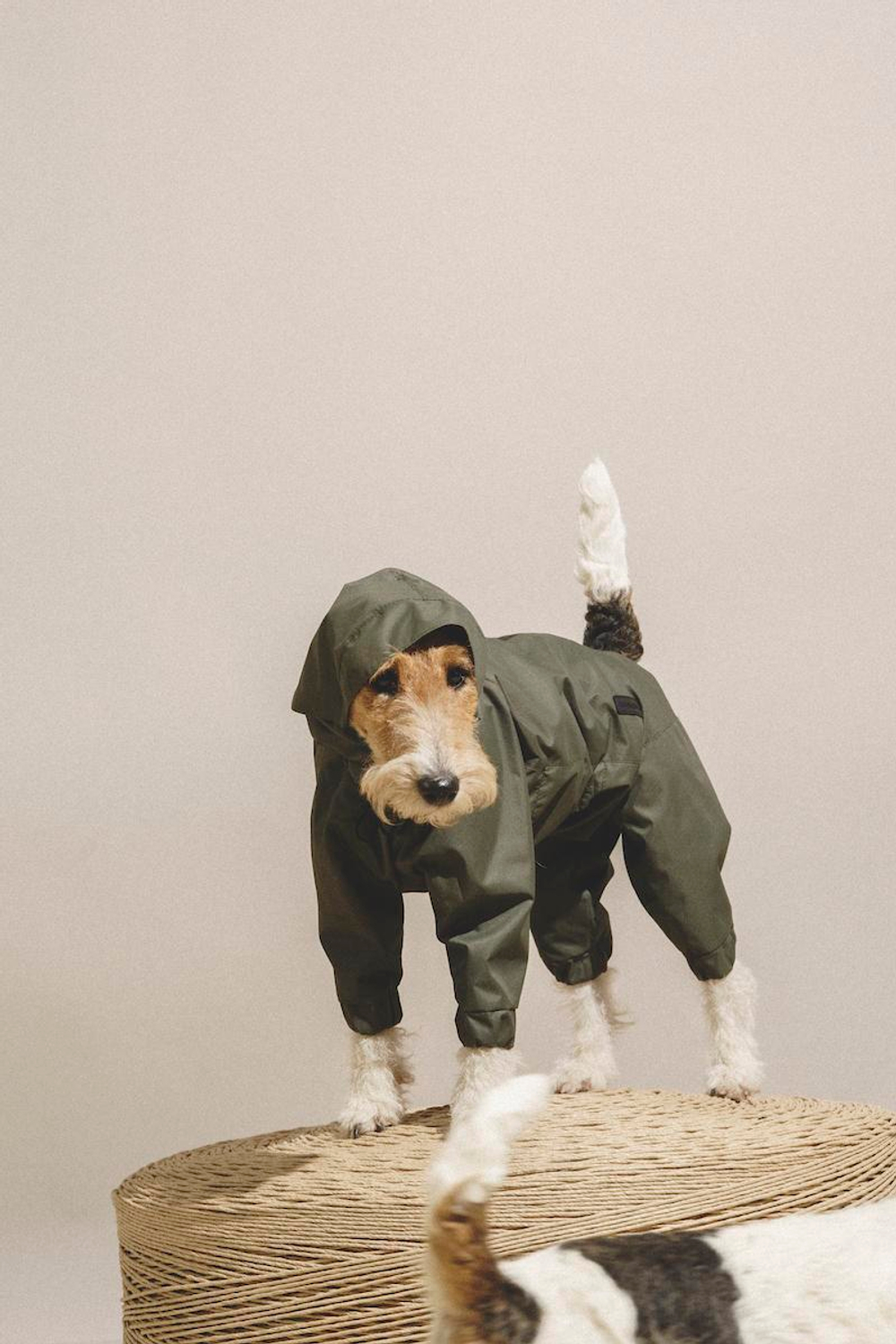 Комбинезон "Пони-комбинезони" хаки