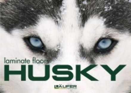 Laufer Husky