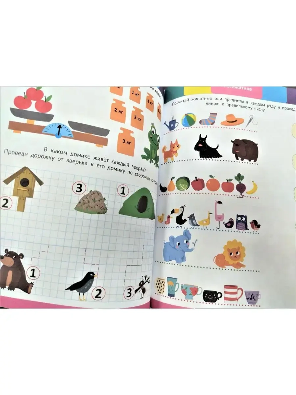 Годовой сборник заданий 5-6 лет