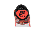Кроссовки Nike Air Max 90 Atmos We Love Nike