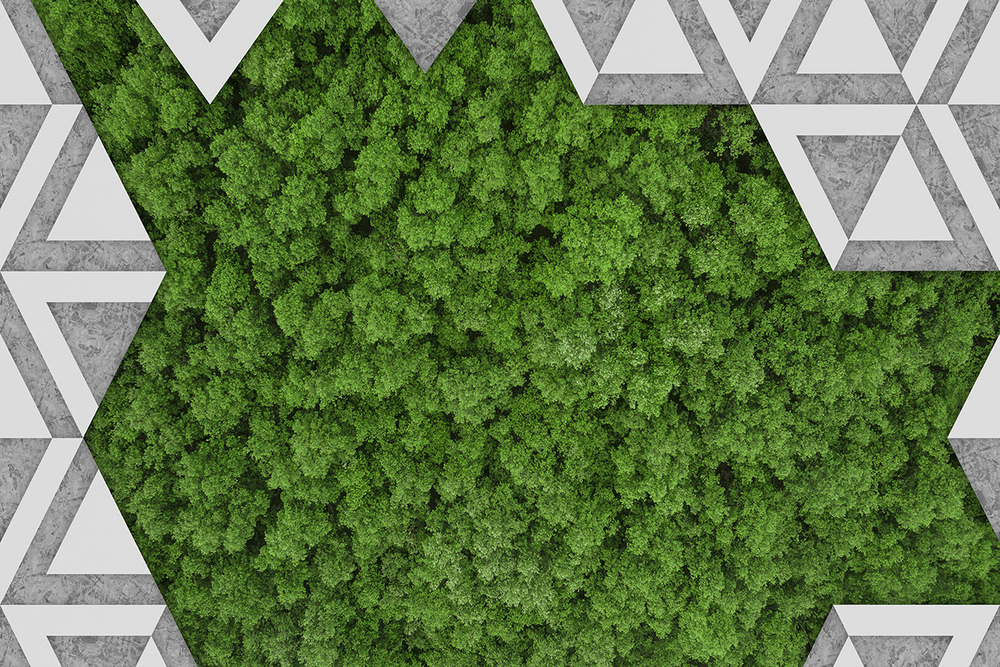 Коллекция GREENDAY