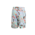 Шорты Adidas originals Fs Aop Short, FM2244