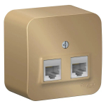 BLANCA О/У РОЗЕТКА двойная компьютерная RJ45, кат.5E, ИЗОЛ.ПЛ., ТИТАН