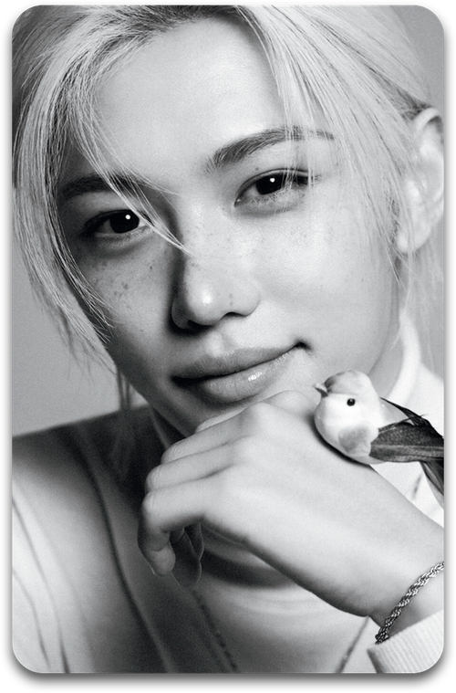 Карта / STRAY KIDS #2304