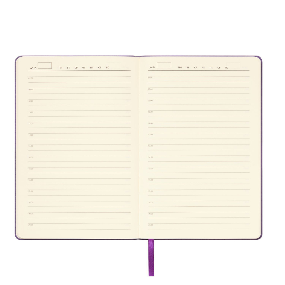 Ежедневник Spark недатированный, фиолетовый (с упаковкой, со стикерами)