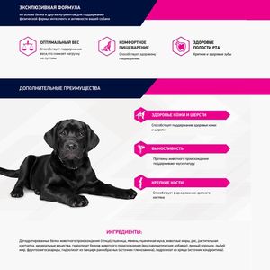 Сухой корм Eukanuba Dog Labrador Retriever для взрослых собак породы лабрадор ретривер от года