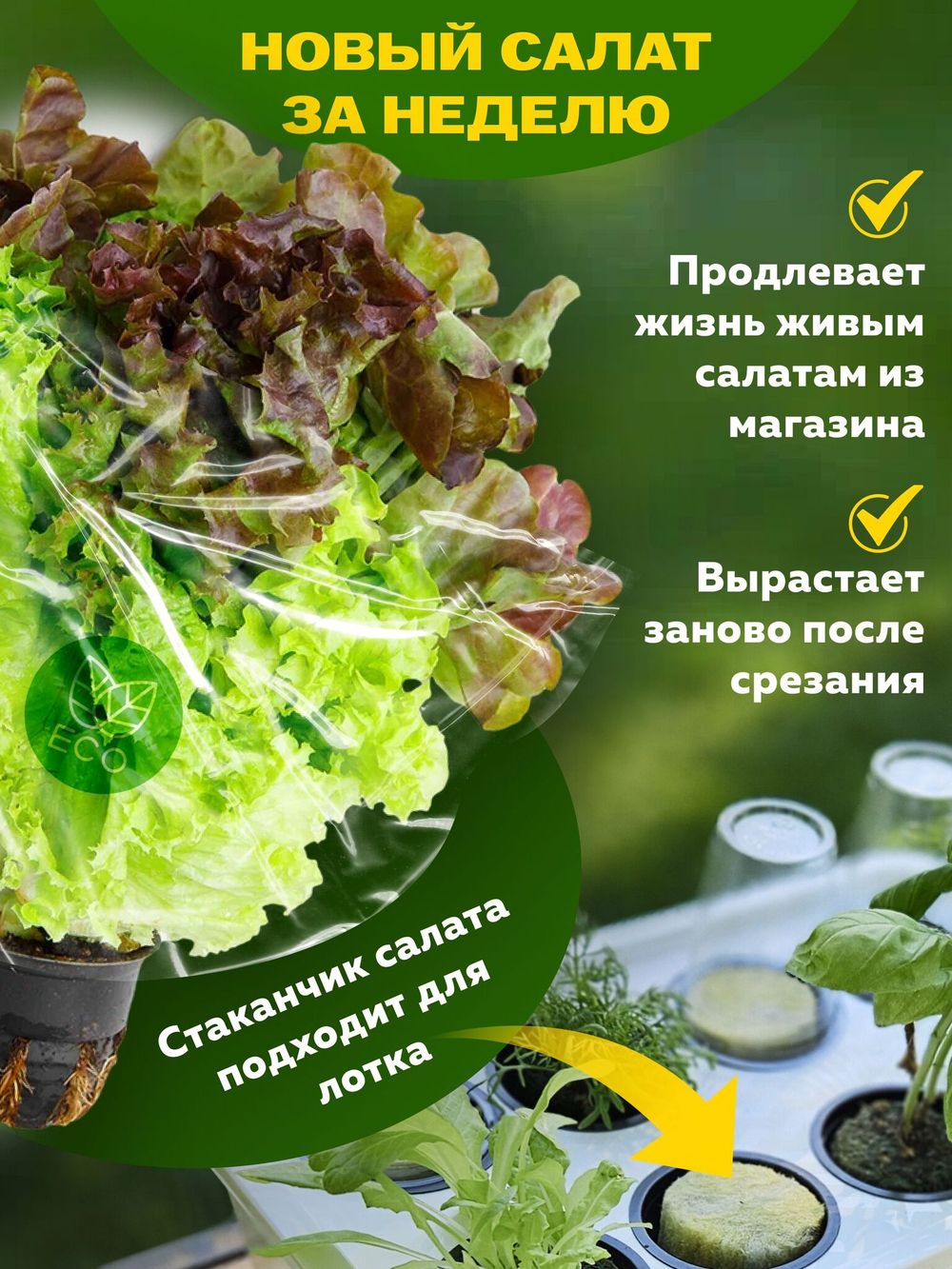 Система выращивания с профессиональной фитолампой АГРОЛО Максимальная, Настольная садовая ферма, Гидропоника