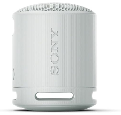Sony SRS-XB100/HE серый