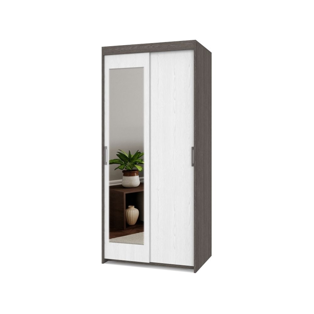 Шкаф-купе двухстворчатый "Томас" Т22 (анкор темный/анкор светлый), ЛДСП, MODERN