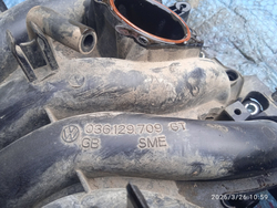 Впускной коллектор Шкода Октавия А5 1.4 BUD Б/У