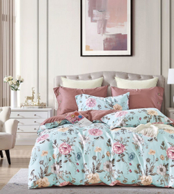 Постельное белье 2 спальное евро Asabella 2006-6