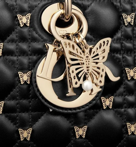 Сумка Dior Lady D-joy, модель среднего формата