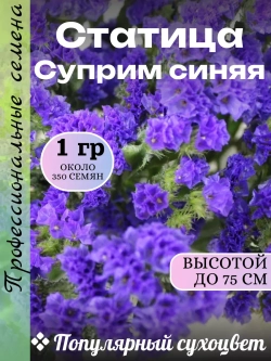 Семена Статица Суприм синяя 1 грамм