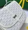 Сумка GOYARD Belvedere MM