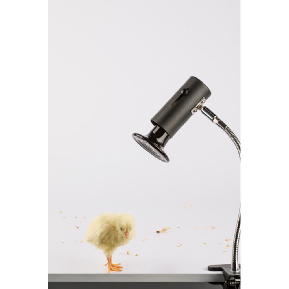 Светильник для рептилий на прищепке для ультрафиолетовой и инфракрасной лампы ЭРА FITO-E27-FLEX-CLIP 250 Вт | Светильники для нагревательных ламп