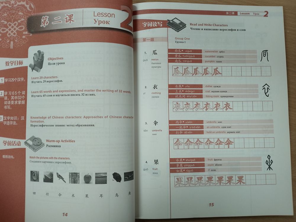 Experiencing Chinese Characters. Постижение китайских иероглифов. (Повышенный уровень)