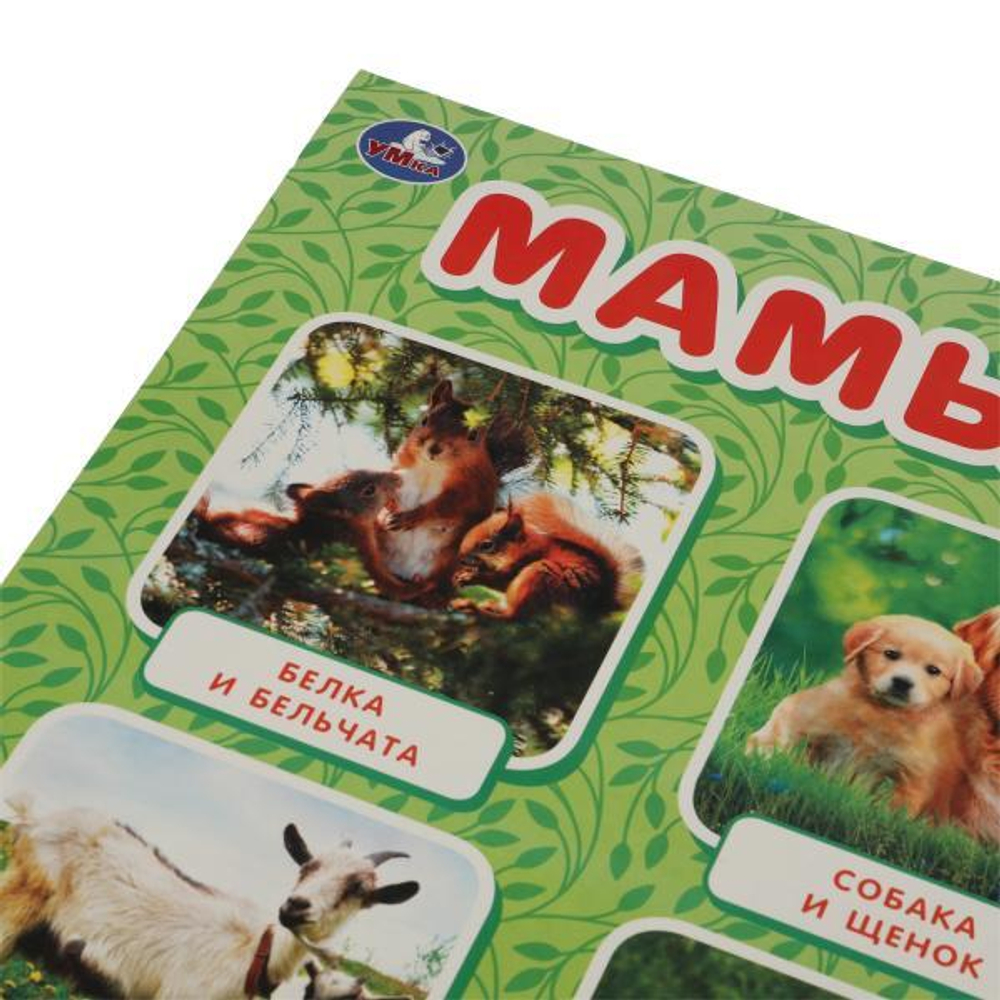 315691/Мамы и малыши. Плакат А2. Умка/1