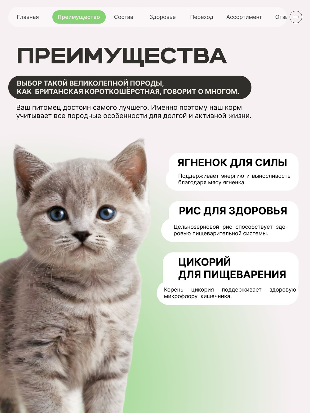 Корм сухой для котят породы Бурманская, с ягненком, 2 кг, QUATTRO