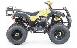 Квадроцикл MOTOLAND 250 ADVENTURE (2021 Г.)