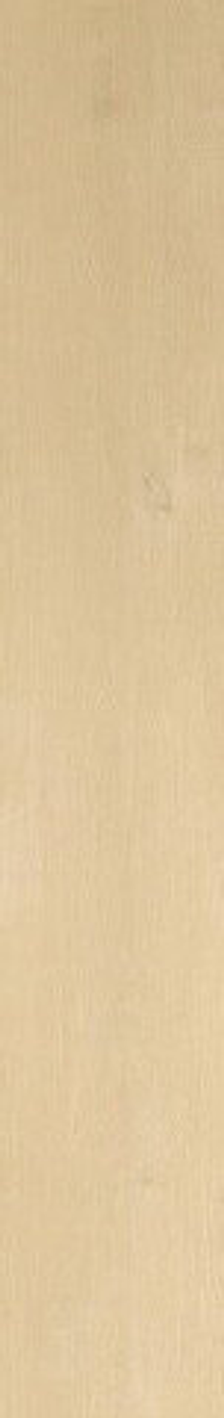 Atlas Concorde Nid Light 25x150