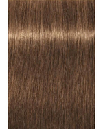 Краска для волос  Igora Absolute 7-50 Средний русый золотистый натуральный Schwarzkopf Professional, 60 мл