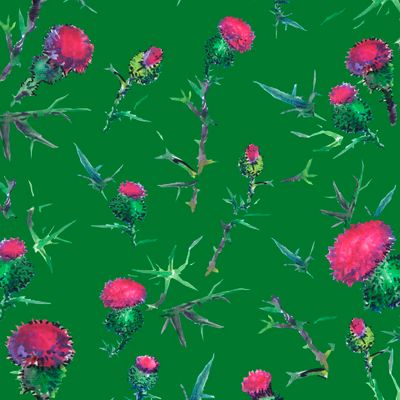 Чертополох на зеленом фоне