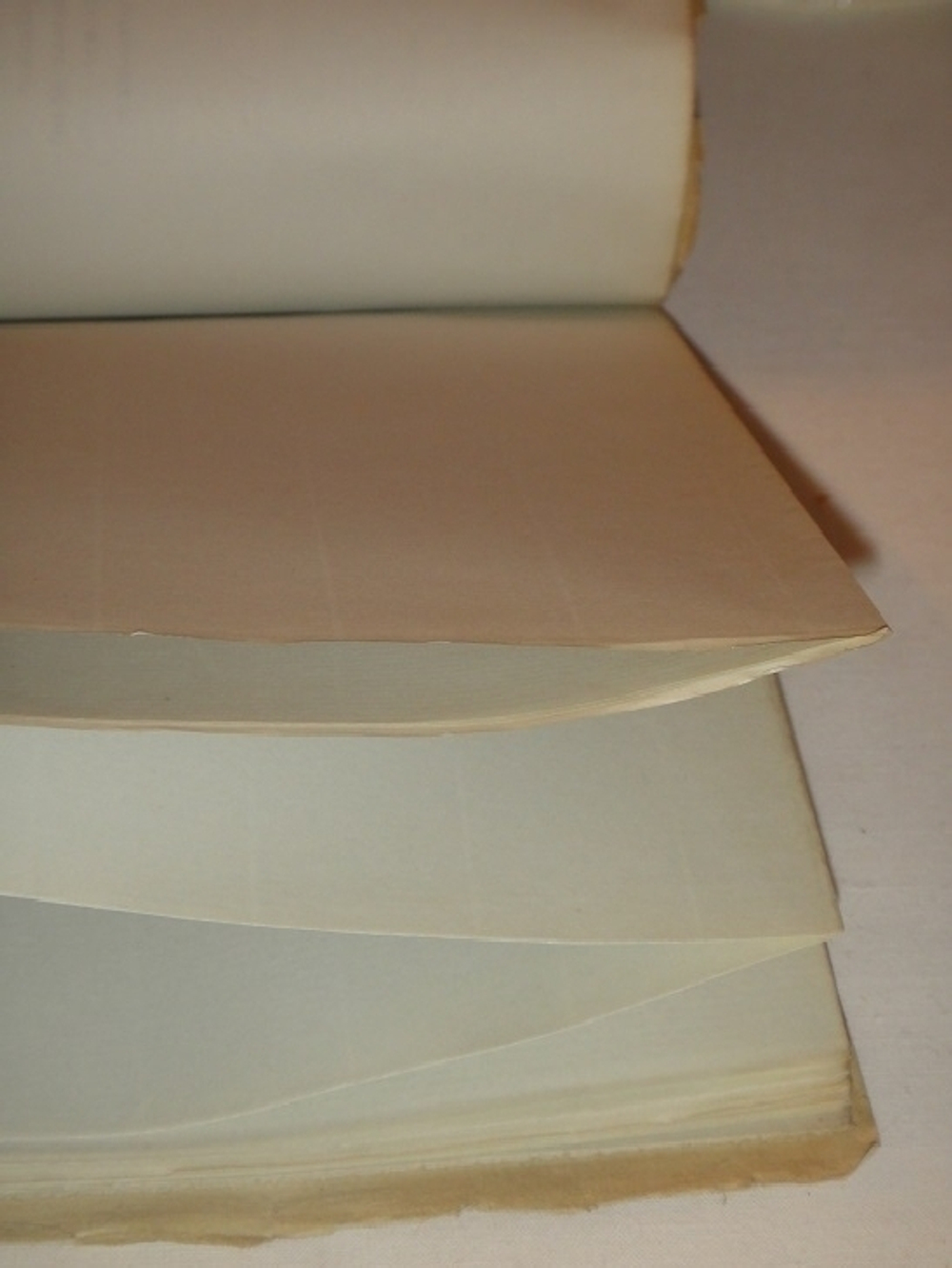 "Самосожжение. Книга стихов 1912-1916 гг" Рюрик Ивнев. 1917 г.