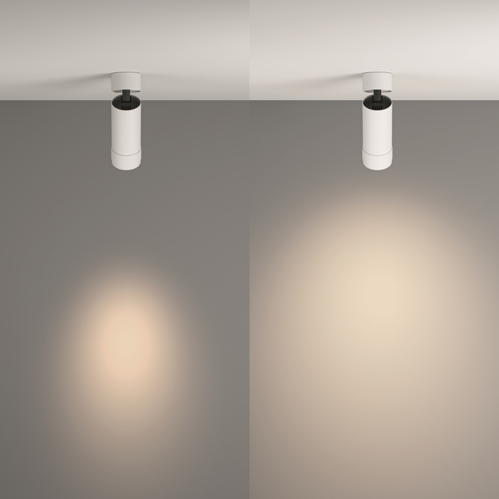 Накладной светодиодный светильник Maytoni Focus Zoom C055CL-L12W4K-Z-W