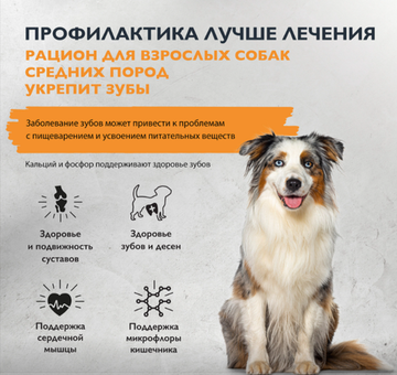 Brit Care Superpremium Dog Adult M с индейкой для взрослых собак средних пород, Здоровые зубы