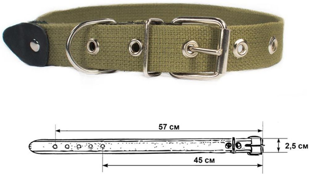 Cootton ошейник для собак брезентовый однослойный 25 мм обхват шеи 45-57 см.