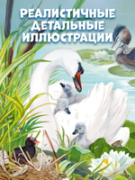 Удивительные энциклопедии. Секреты животных озера. Визуальная энциклопедия