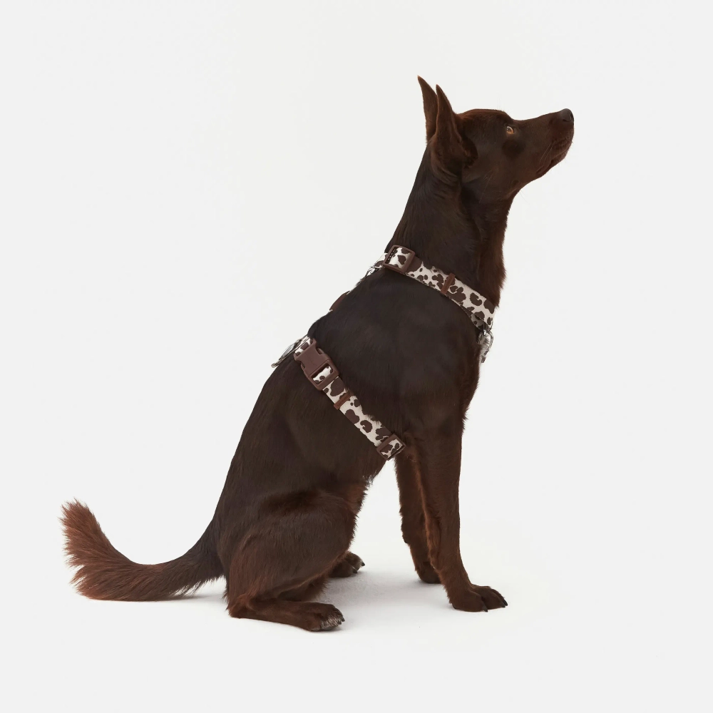 Анатомическая шлейка Cow