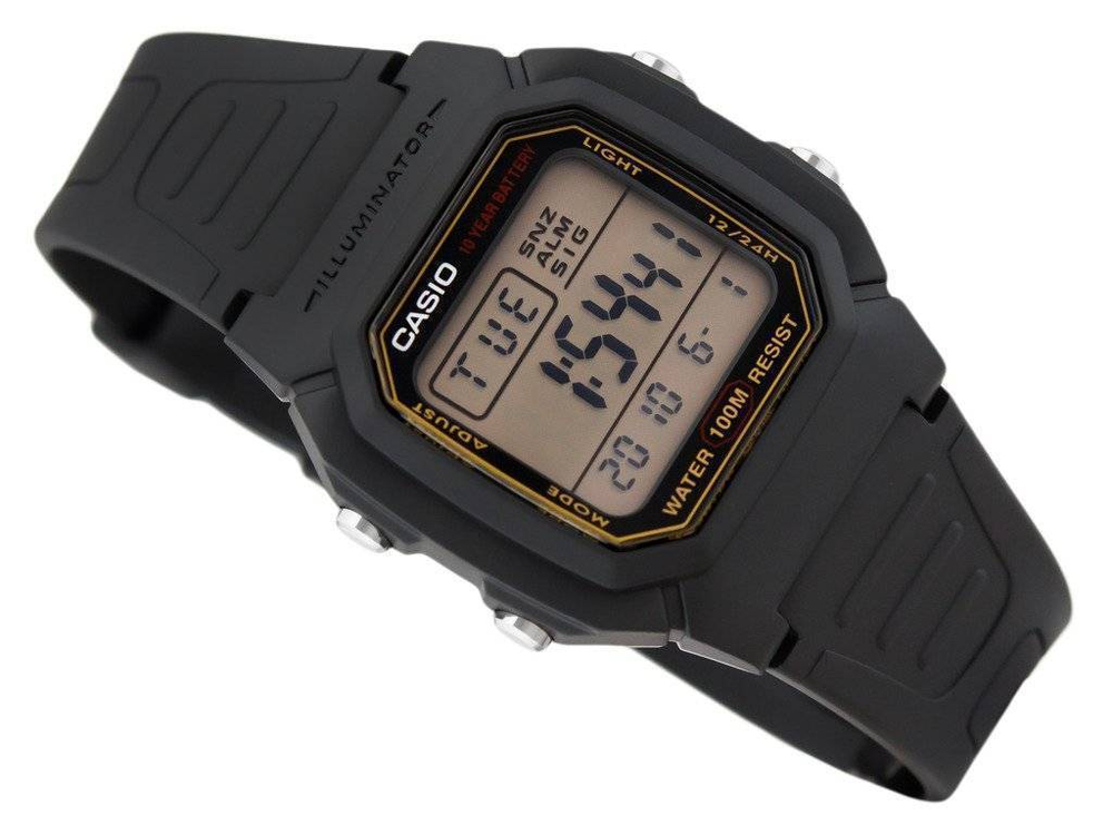 Наручные часы CASIO W-800HG-9A