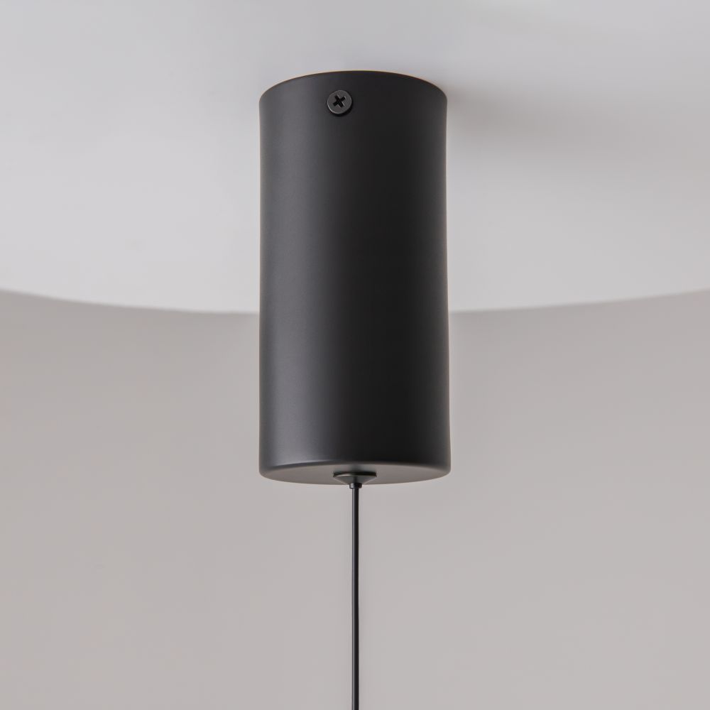 Подвесной светильник Technical P022PL-L10B