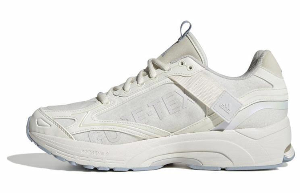 Кроссовки Adidas Spiritain 2000 Gtx (Женская размерная сетка)